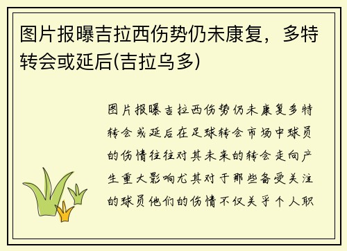 图片报曝吉拉西伤势仍未康复，多特转会或延后(吉拉乌多)